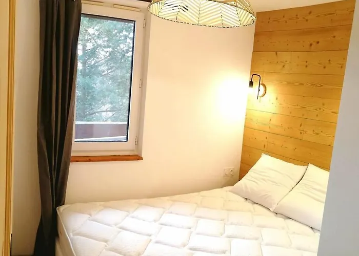 Appartement 3 Pieces, 2 Chambres Au Coeur De La Station