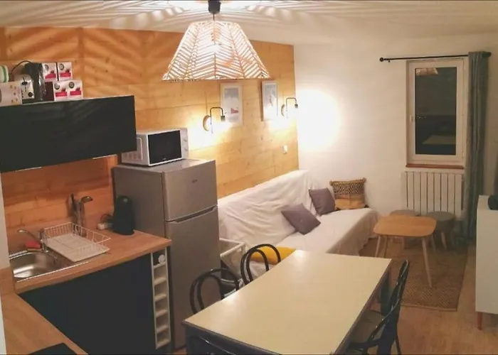 Appartement 3 Pieces, 2 Chambres Au Coeur De La Station